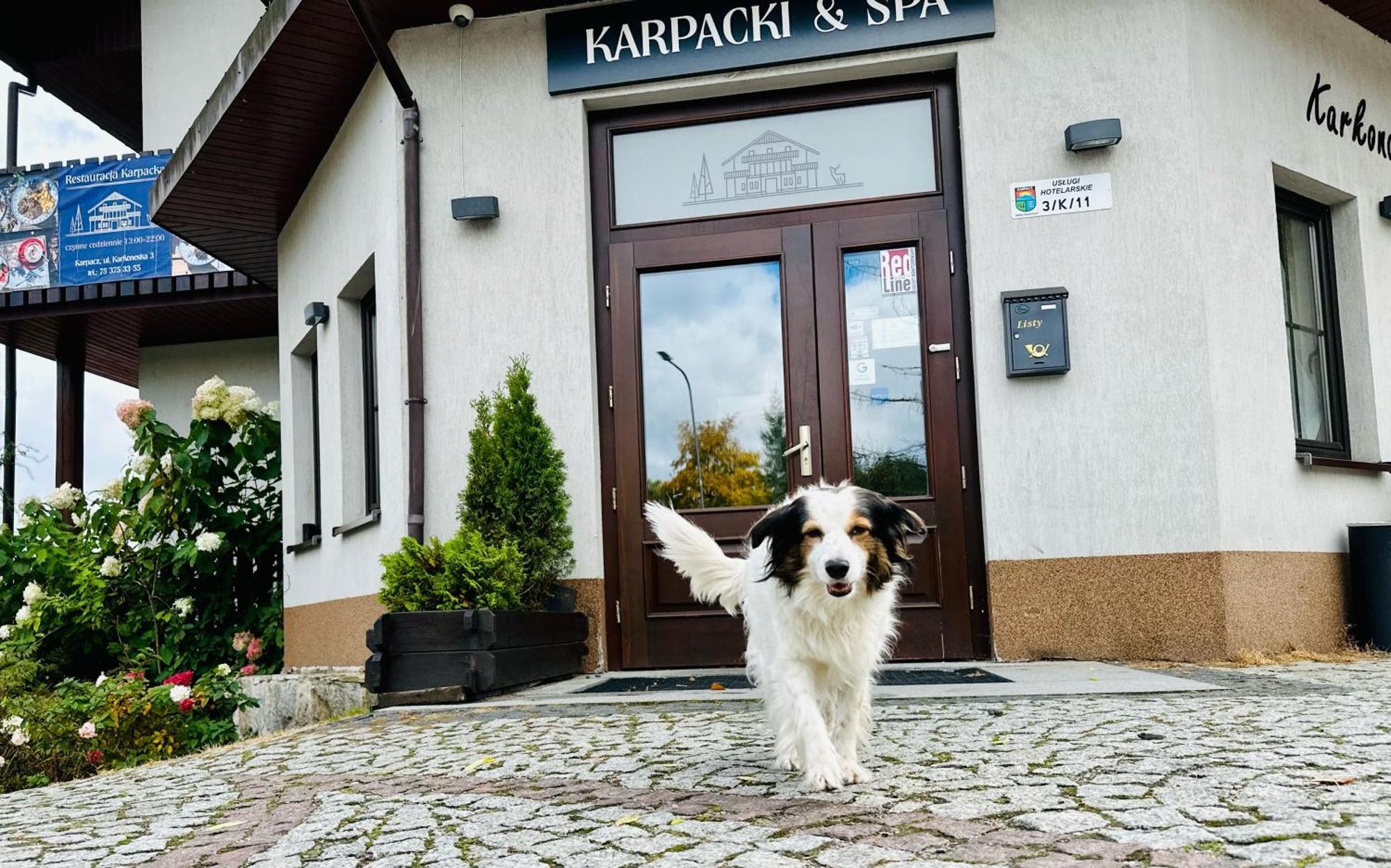 Karpacki & Spa - Blisko Wyciagu, Restauracja, Sala Zabaw, Bar 24H (Adults Only) Karpacz Exteriör bild